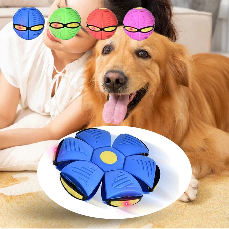 Pet Flying Saucer/Outdoor Sports