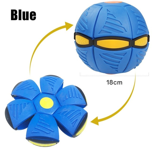 Pet Flying Saucer/Outdoor Sports
