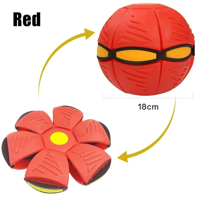Pet Flying Saucer/Outdoor Sports