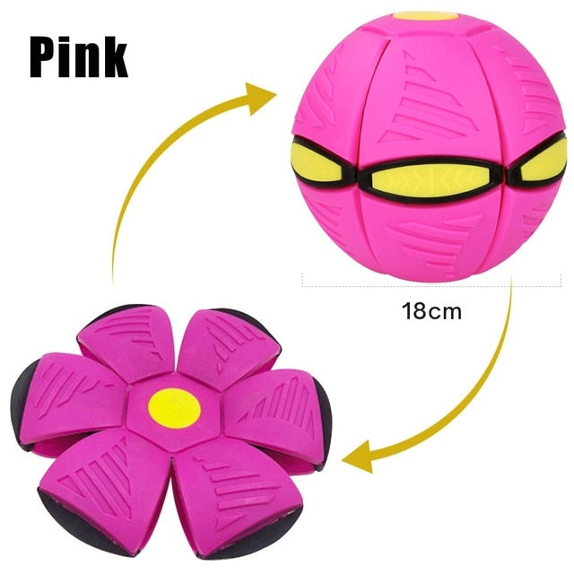 Pet Flying Saucer/Outdoor Sports