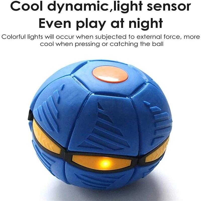 Pet Flying Saucer/Outdoor Sports